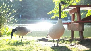 ダウンジャケットはどれくらいの頻度でクリーニングするべきなのか