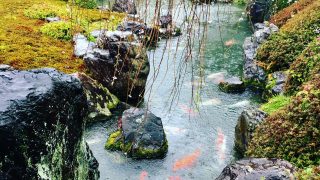 水が付いただけなのにシミの様になるウオータースポットってご存知ですか