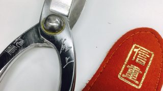 いけばなを体験して半年ぐらい経ちました果たして感性は磨かれているのでしょうか
