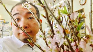 お家にお花のある生活は皆の気持ちを柔らかくしてくれる空間かも