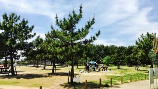 タイミングは突然やって来るその時いるかいないかは自分次第なのかも
