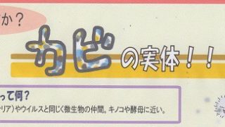 梅雨時のジメジメ季節にはお洋服のカビ発生にご注ください下さいませ