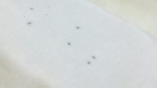 何回洗っても落とせない最後に残った黒い汚れは漂白しても取れません