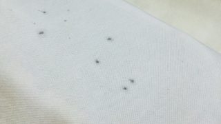 墨が付いた時には始めの第一歩目の処理のやり方が非常に大事なのです
