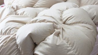 押入れの奥の方に洗おうと思ってそのまま洗い損ねた羽毛布団が残っていませんか