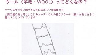 洗濯機のドライコースでおしゃれ着洗剤を使ってるのに縮んだのはどうして