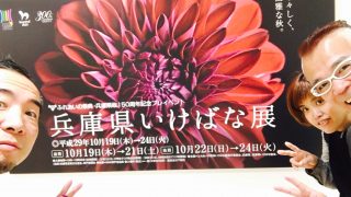 兵庫県いけばな展2017を大丸神戸店まで観に行ってきましたゼヒ観に行って秋を感じましょう