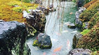 雨の日にはビスコース・レーヨン系のお洋服は着用しない様に致しましょう