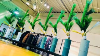 お正月に飾る松の木は神様の依代であり良い場に良い気は集まるらしい
