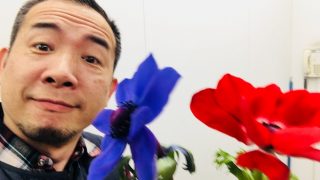 学ぶ事に期限は無いと言う事をいけばな初めて１年半ぐらい経ちまして気が付きました