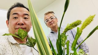 堅苦しくないいけばなもあるんですねやってみると自分の中に新しい世界が開けるかも