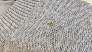 コーヒーや醤油の様な色をしている時間が経っているシミの殆どがタンパク質の変化によるシミの場合があります