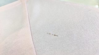 時間が経った血液のシミはかなり取れにくくなりますので無理はしない様に致しましょう