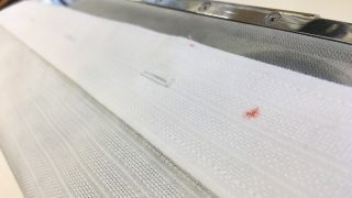 取れにくい赤いインクと思っていたけどその正体は実はハンコに使う朱肉かも知れません