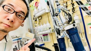 普通のお洗濯では落ちない汚れが時間が経って後から部分的に浮出てきた黄ばみの正体かも