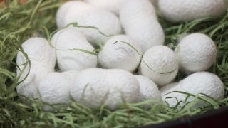 雨の日にはご注意下さいませシルクやレーヨンは水に濡れるとシミの様になってしまいます