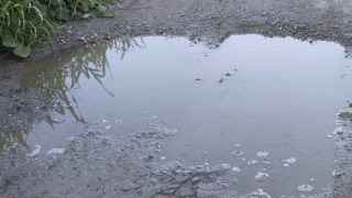 泥汚れや花粉は洗う前に先ずシッカリと乾燥させてから薄くなるように素手で叩いてから洗いましょう