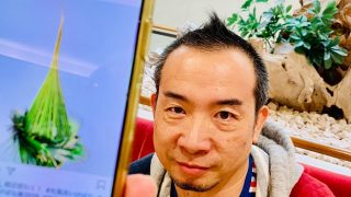 綺麗なお花を見に兵庫県いけばな展2018を大丸神戸店まで心の充電をしに行きました