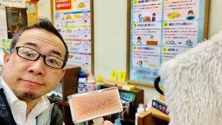 これからお洋服に使用されるのはフェイクファーが主流ですがそのファーの簡単フワフワお手入れ方法