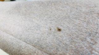 いつ？どこで？なにが？付いてしまったのかも成分も分からないシミは何もせずにお持ち下さいませ