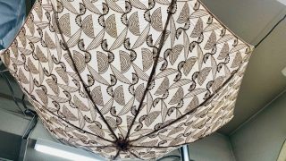 日傘のクリーニングは使っていない今がチャンス今行えば夏には綺麗な状態で使える様になりますよす