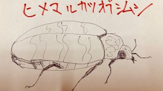 クリーニングを行なったタイミングで毛が抜けてしまったらそれは虫害にあっていた可能性があります