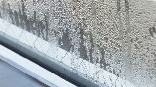 長時間放置していた革製品にカビの生えてくる条件ですがカビは必ず水分のある所で発生致します