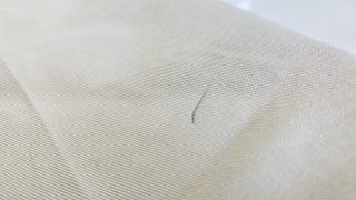 気が付かない内に付いてしまっているボールペンのインクの色ってお家で取れなくても何とかなるかも知れませんよ