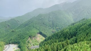 お盆休み３日目は天気が良くないですがぼちぼち楽しみます
