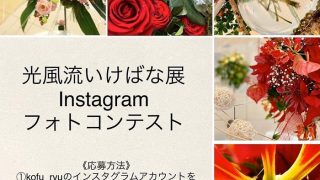 【光風流美術館～キャンバスからのメッセージ】と言う事で光風流いけばな展2019を観に加西に行って来ました