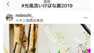 また今度も「光風流いけばな展2019」インスタグラムフォトコンテストにて光風流ジュニア賞を受賞させて頂きました