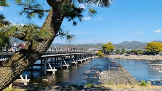 京都に行くのなら嵯峨釈迦堂清凉寺からの愛宕念仏寺方面ルートが景観をかなり楽しめます
