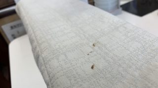 お洋服に付いてしまった毛染めはリムーバーや除光液等を使用して取ろうとすると色や生地を傷めてしまう事があります
