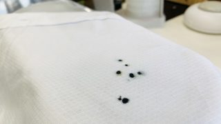 既に自己処理やクリーニング屋さんで染み抜きしても取れなかった場合でもご相談下さいませ