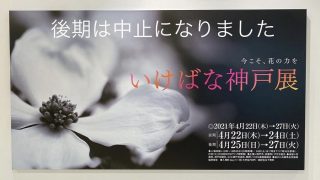 「いけばな神戸展」今回は「今こそ、花の力を」がテーマで４月2２日から2４日まで開催されております
