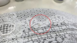 白レース製品の場合には毛足がありませんのでぼやけて見える事も無くシミが目立ってしまいます