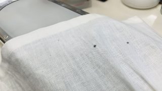 お洋服に毛染めが付いた場合にはお家で取り除く事は困難ですので何もせずにご相談下さいませ