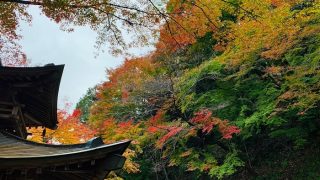 もう色褪せて使えなくなってしまったと思っているお洋服でも染め直し出来るかも知れませんよ