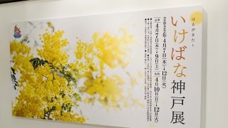 DAIMARU神戸店９階の大丸ミュージアムにて「はるがきた～いけばな神戸展」に行ってきました