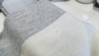 お洋服のシミをそのまま放置していると虫害にあってしまう可能性が高くなってしまうのです