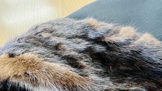 知っている様で知らないお着物や毛皮のメンテナンスって何処で出来るの？