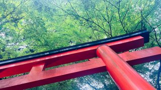 神様の前で身も心も清めるように大切なお着物も次の着用や季節へ向けて今一度丁寧に整えてあげませんか?